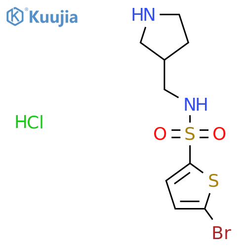 5-Bromo-N-(pyrrolidin-3-ylmethyl)thiophene-2-sulfonamide hydrochloride structure