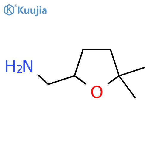 (5,5-dimethyloxolan-2-yl)methanamine structure