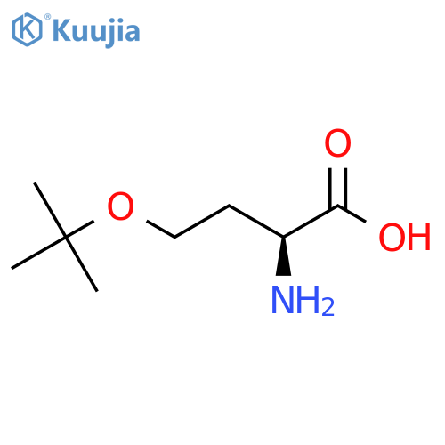 (2S)-2-amino-4-(tert-butoxy)butanoic acid structure