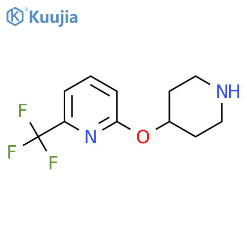 2-(Piperidin-4-yloxy)-6-(trifluoromethyl)pyridine structure