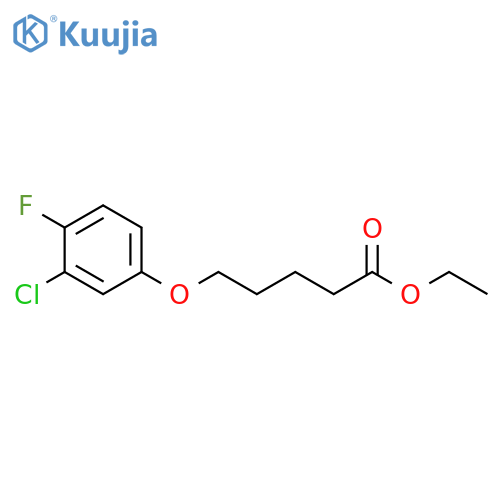 Ethyl 5-(3-chloro-4-fluoro-phenoxy)pentanoate structure