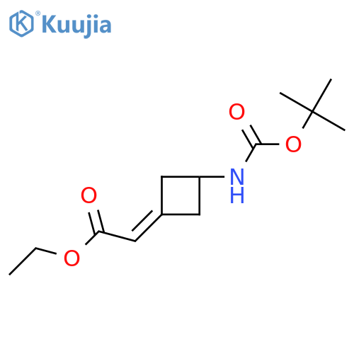 ethyl 2-(3-((tert-butoxycarbonyl)amino)cyclobutylidene)acetate structure