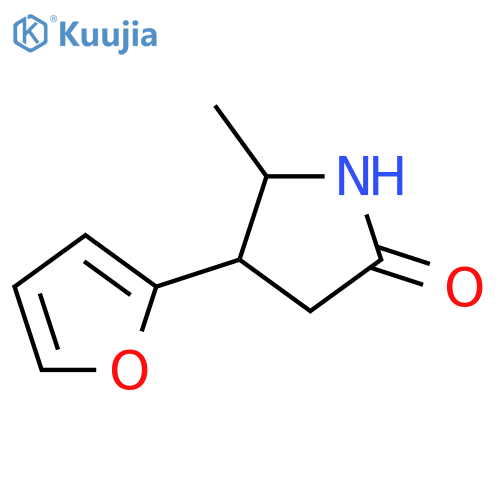4-(furan-2-yl)-5-methylpyrrolidin-2-one structure