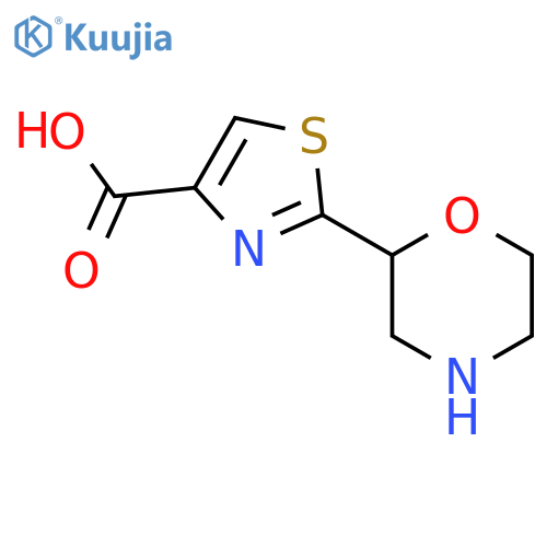 2-(Morpholin-2-yl)-1,3-thiazole-4-carboxylic acid structure