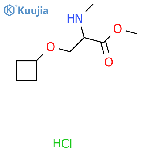 Methyl 3-cyclobutoxy-2-(methylamino)propanoate hydrochloride structure
