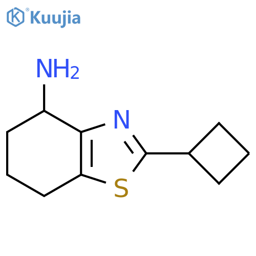 2-Cyclobutyl-4,5,6,7-tetrahydrobenzo[d]thiazol-4-amine structure