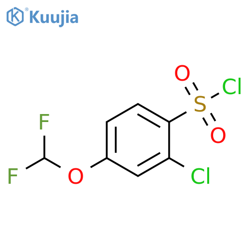 2-CHLORO-4-(DIFLUOROMETHOXY)BENZENE-1-SULFONYL CHLORIDE structure