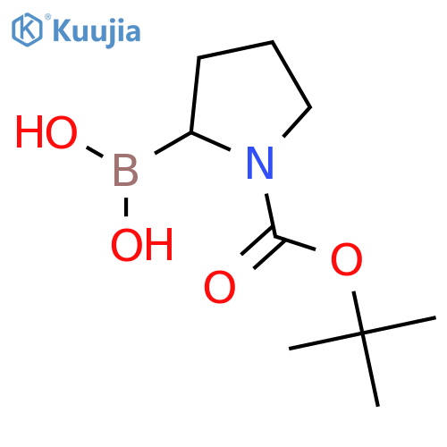 (1-tert-butoxycarbonylpyrrolidin-2-yl)boronic acid structure