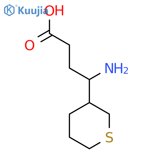4-amino-4-(thian-3-yl)butanoic acid structure
