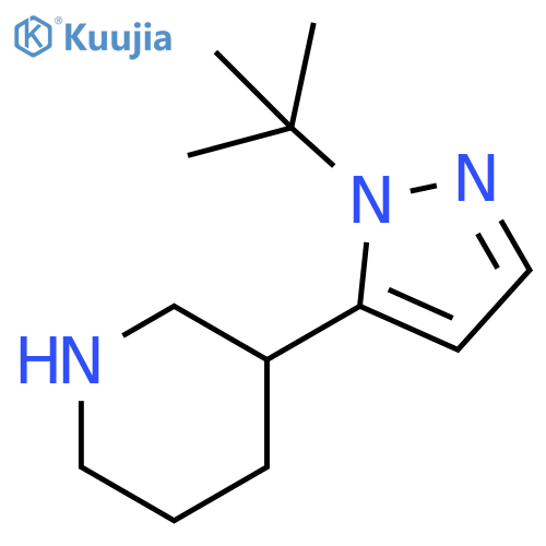 3-(2-tert-Butyl-2H-pyrazol-3-yl)-piperidine structure