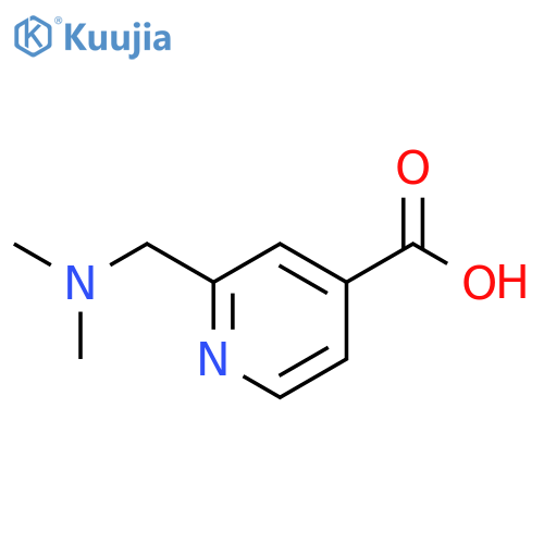 2-(dimethylamino)methylpyridine-4-carboxylic acid structure
