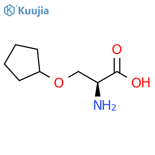 (2S)-2-amino-3-(cyclopentyloxy)propanoic acid structure