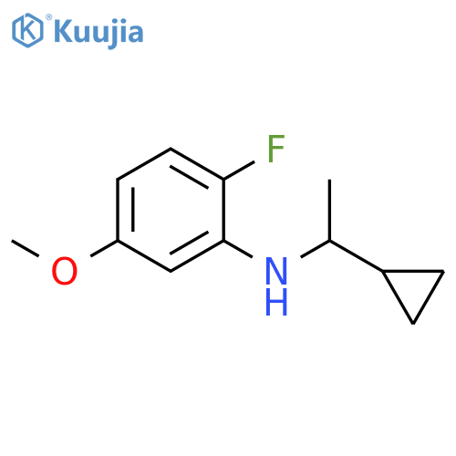 N-(1-cyclopropylethyl)-2-fluoro-5-methoxyaniline structure