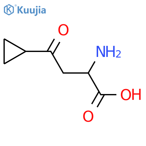 2-Amino-4-cyclopropyl-4-oxobutanoic acid structure