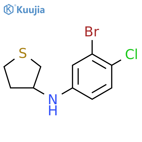 N-(3-bromo-4-chlorophenyl)thiolan-3-amine structure