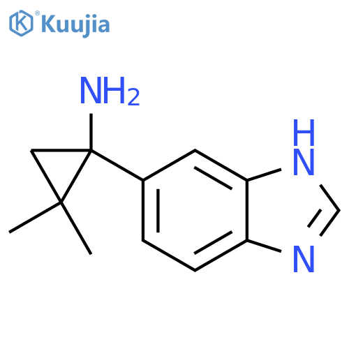 1-(1H-1,3-benzodiazol-5-yl)-2,2-dimethylcyclopropan-1-amine structure