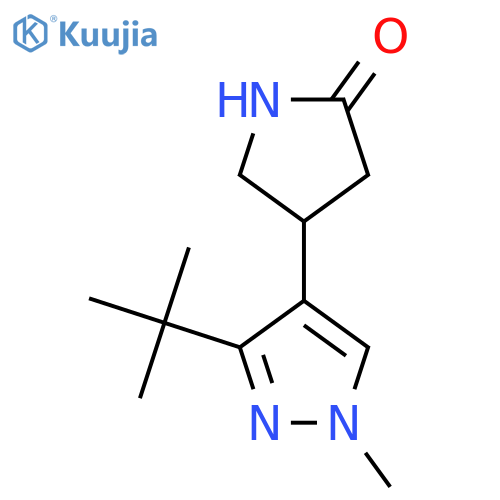 4-(3-tert-butyl-1-methyl-1H-pyrazol-4-yl)pyrrolidin-2-one structure