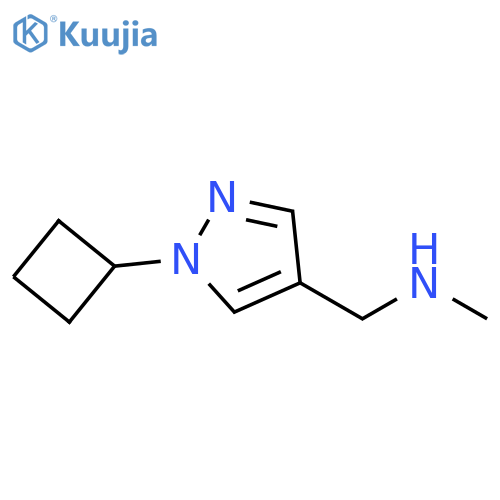 [(1-cyclobutyl-1H-pyrazol-4-yl)methyl](methyl)amine structure