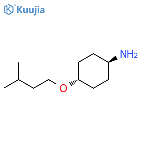 (1r,4r)-4-(3-methylbutoxy)cyclohexan-1-amine structure