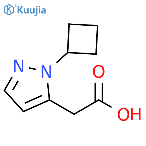 2-(1-cyclobutyl-1H-pyrazol-5-yl)acetic acid structure
