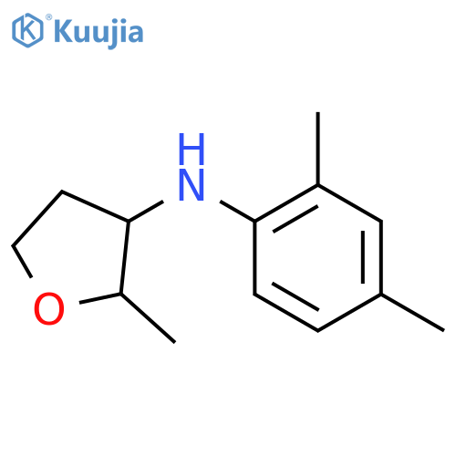 N-(2,4-dimethylphenyl)-2-methyloxolan-3-amine structure
