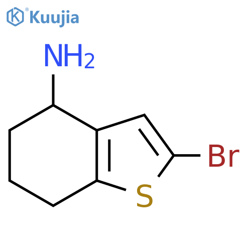 2-bromo-4,5,6,7-tetrahydro-1-benzothiophen-4-amine structure