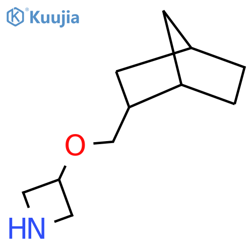 3-(Bicyclo[2.2.1]heptan-2-ylmethoxy)azetidine structure
