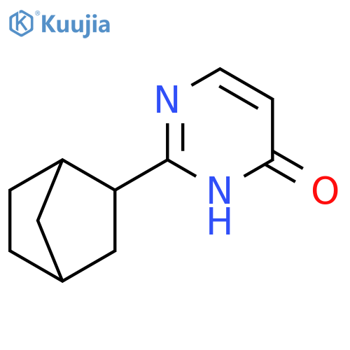 2-{bicyclo2.2.1heptan-2-yl}-3,4-dihydropyrimidin-4-one structure