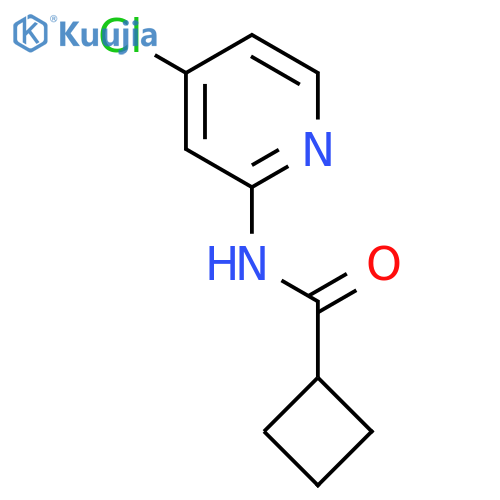 N-(4-Chloropyridin-2-yl)cyclobutanecarboxamide structure