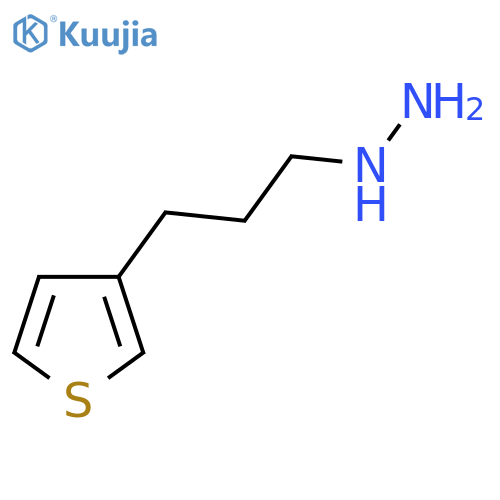 3-(thiophen-3-yl)propylhydrazine structure