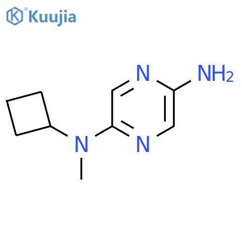 N2-cyclobutyl-N2-methylpyrazine-2,5-diamine structure