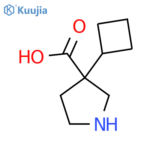 3-Cyclobutylpyrrolidine-3-carboxylic acid structure