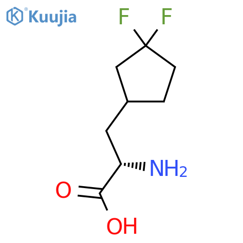 (2S)-2-amino-3-(3,3-difluorocyclopentyl)propanoic acid structure