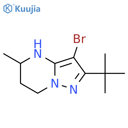 3-bromo-2-tert-butyl-5-methyl-4H,5H,6H,7H-pyrazolo1,5-apyrimidine structure