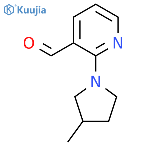2-(3-Methylpyrrolidin-1-yl)pyridine-3-carbaldehyde structure