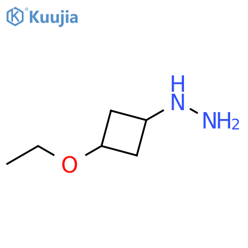 (3-ethoxycyclobutyl)hydrazine structure