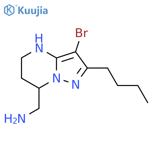 {3-bromo-2-butyl-4H,5H,6H,7H-pyrazolo1,5-apyrimidin-7-yl}methanamine structure