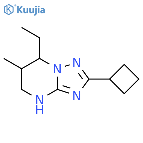 2-cyclobutyl-7-ethyl-6-methyl-4H,5H,6H,7H-1,2,4triazolo1,5-apyrimidine structure
