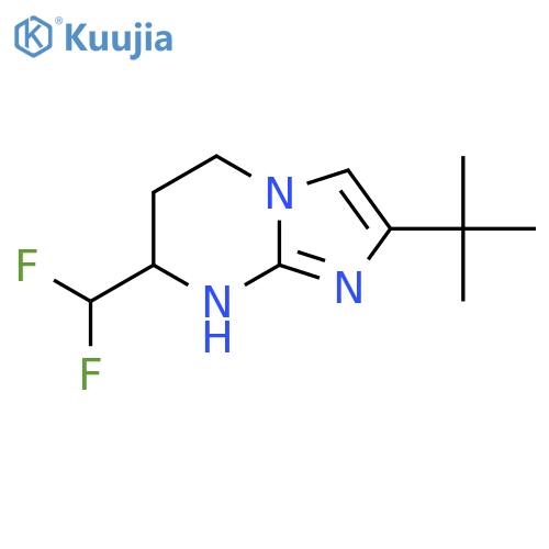 2-tert-butyl-7-(difluoromethyl)-5H,6H,7H,8H-imidazo1,2-apyrimidine structure