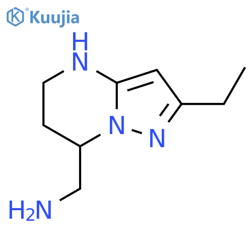 {2-ethyl-4H,5H,6H,7H-pyrazolo1,5-apyrimidin-7-yl}methanamine structure