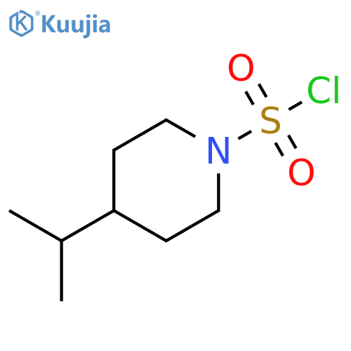4-(propan-2-yl)piperidine-1-sulfonyl chloride structure