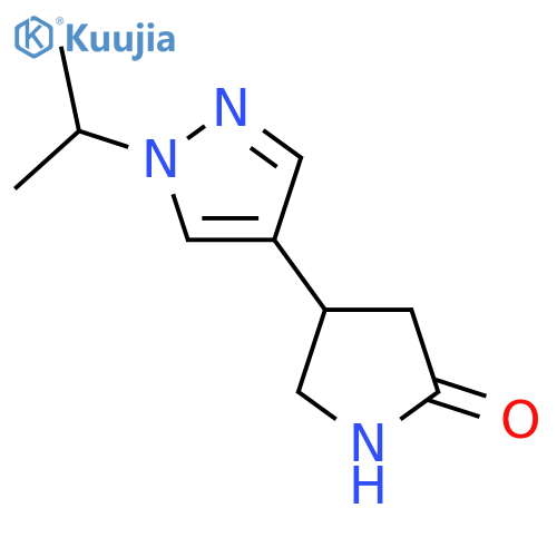 4-[1-(propan-2-yl)-1H-pyrazol-4-yl]pyrrolidin-2-one structure