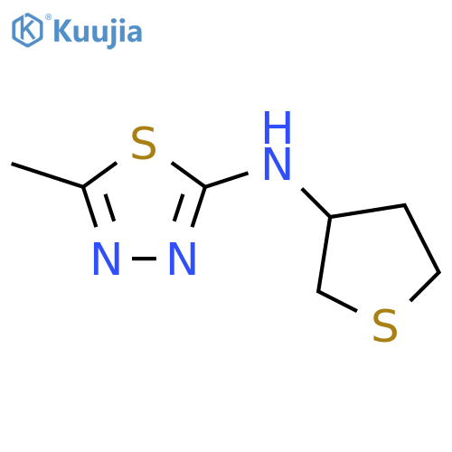 5-methyl-N-(thiolan-3-yl)-1,3,4-thiadiazol-2-amine structure