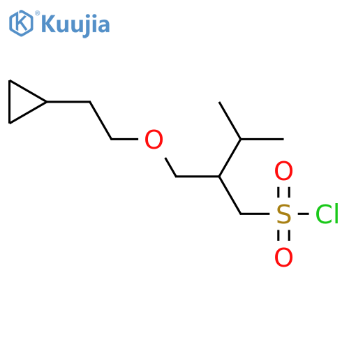 2-(2-cyclopropylethoxy)methyl-3-methylbutane-1-sulfonyl chloride structure