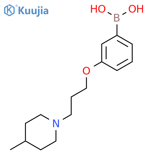 (3-(3-(4-Methylpiperidin-1-yl)propoxy)phenyl)boronic acid structure