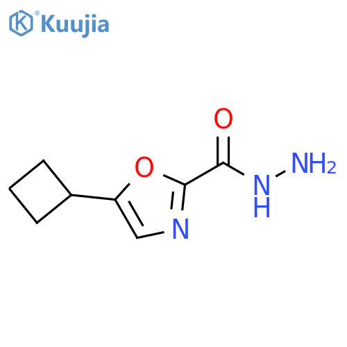 5-Cyclobutyl-oxazole-2-carboxylic acid hydrazide structure
