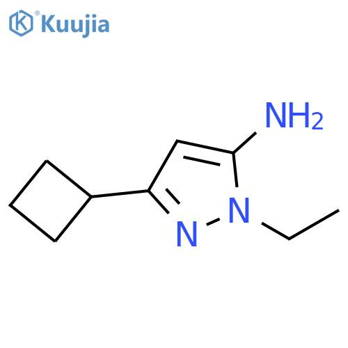3-cyclobutyl-1-ethyl-1H-pyrazol-5-amine structure