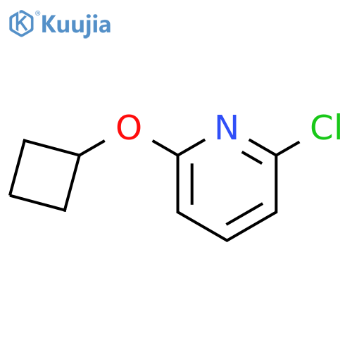 2-chloro-6-cyclobutoxypyridine structure