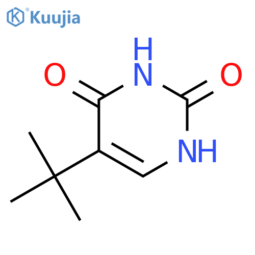 2,4(1H,3H)-Pyrimidinedione, 5-(1,1-dimethylethyl)- structure