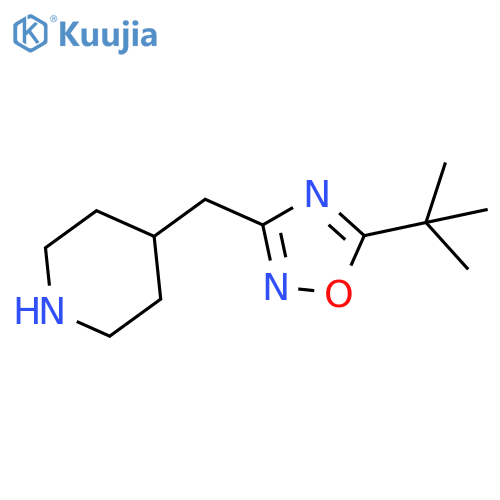 4-(5-tert-Butyl-[1,2,4]oxadiazol-3-ylmethyl)-piperidine structure